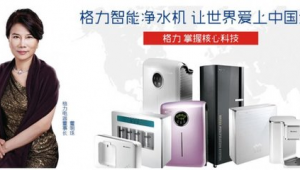 格力電器網(wǎng)絡(luò)營(yíng)銷與網(wǎng)絡(luò)技術(shù)推廣整合方案