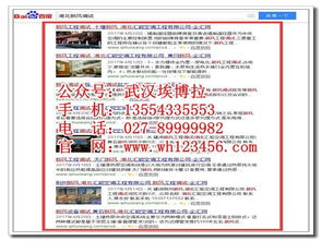 武漢網(wǎng)絡(luò)技術(shù)推廣 專業(yè)公司如何助力企業(yè)實(shí)現(xiàn)長(zhǎng)效維護(hù)與增長(zhǎng)